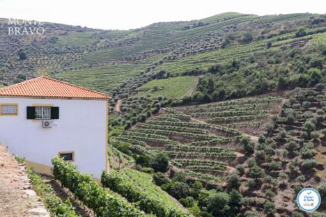 Vila Quinta Do Monte Bravo - Douro - Quarto Duplo Ervedosa do Douro Exteriér fotografie