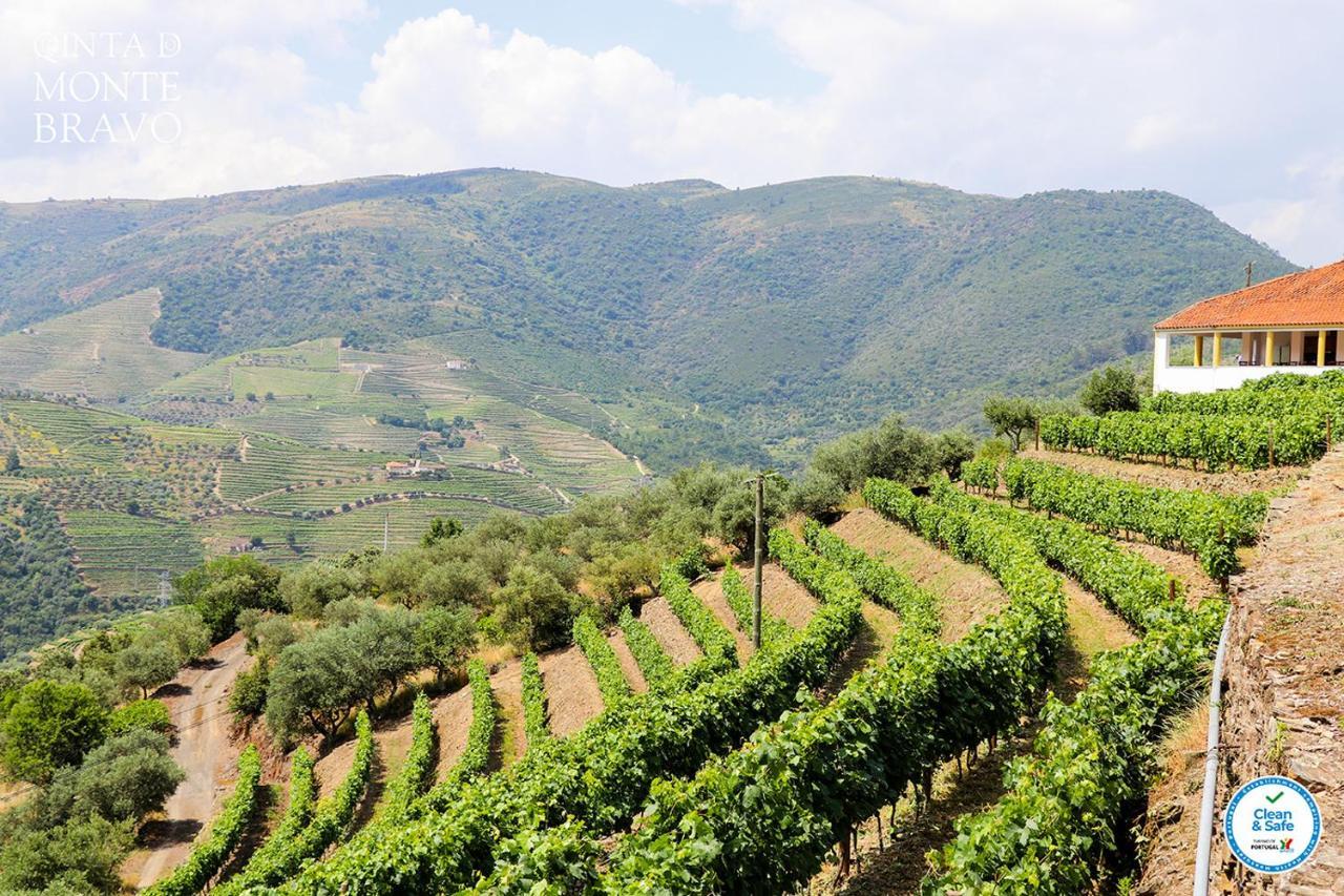 Vila Quinta Do Monte Bravo - Douro - Quarto Duplo Ervedosa do Douro Exteriér fotografie