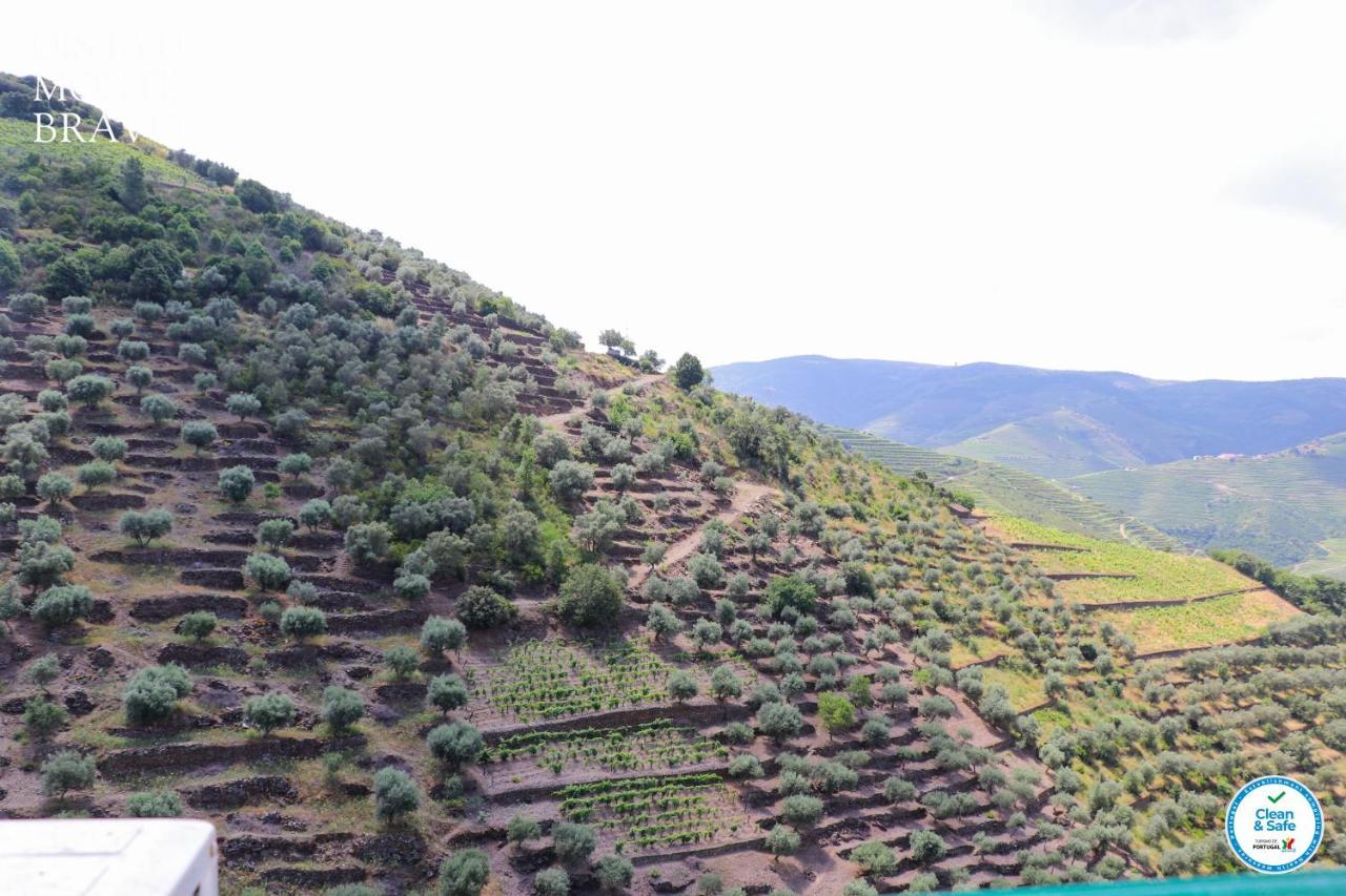 Vila Quinta Do Monte Bravo - Douro - Quarto Duplo Ervedosa do Douro Exteriér fotografie