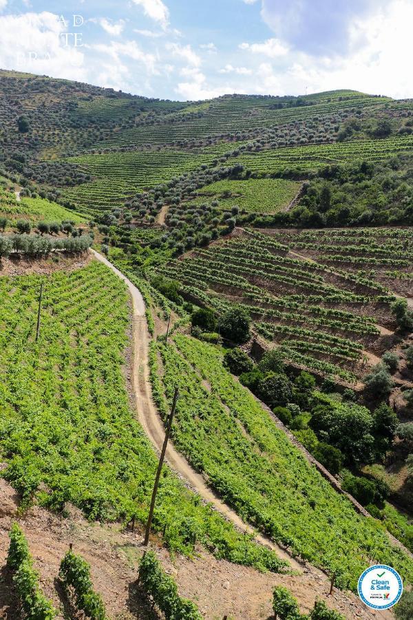 Vila Quinta Do Monte Bravo - Douro - Quarto Duplo Ervedosa do Douro Exteriér fotografie