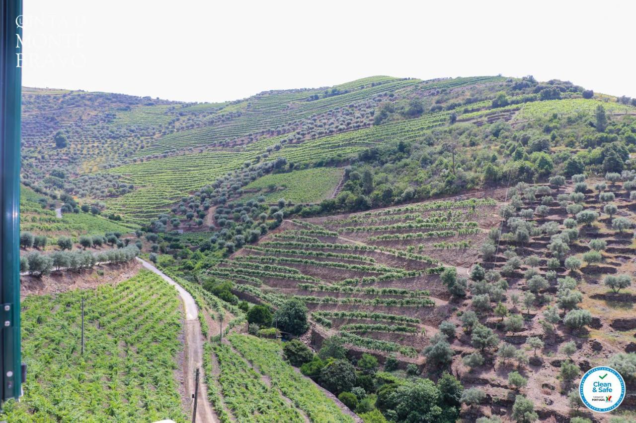 Vila Quinta Do Monte Bravo - Douro - Quarto Duplo Ervedosa do Douro Exteriér fotografie